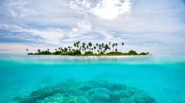 利物浦官方：巴拉吉兹租借至苏超球队基尔马诺克，直到本赛季结束