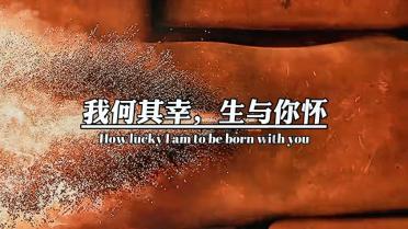 集邮者的收藏