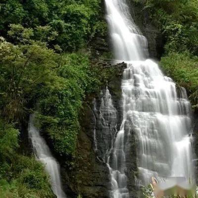 10天的婴儿上火了，有什么办法？游戏画面